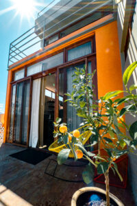 dsc5678