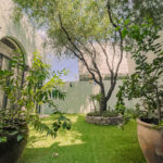 img 7837